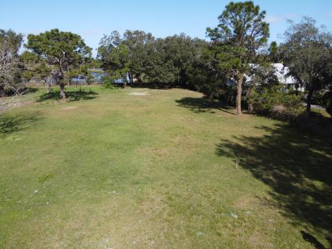 Looking north on property before any cutting of trees