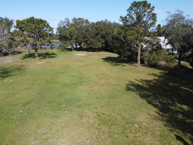 Looking north on property before any cutting of trees