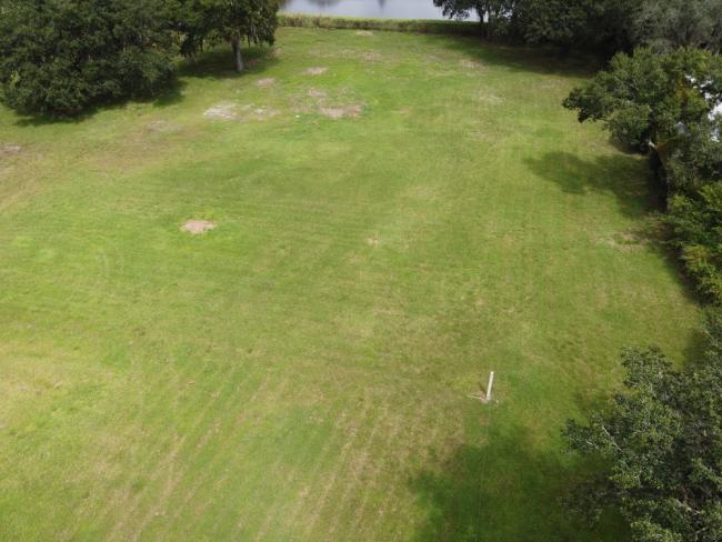 overview of property after trees removed